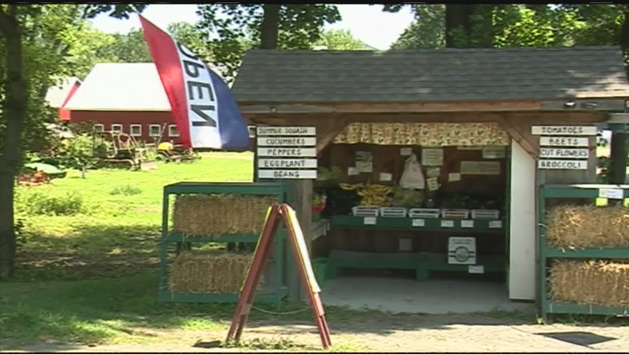 50 Best Organic Food Business ideas to Start from Home Nishani